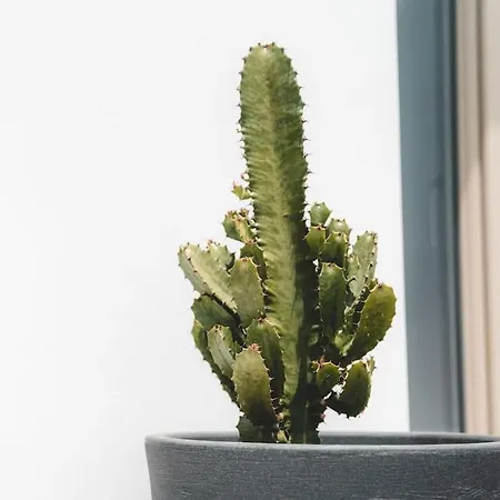 펜션 Akri Santorini With Heated Jacuzzi *