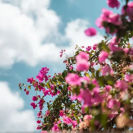 펜션 Akri Santorini With Heated Jacuzzi