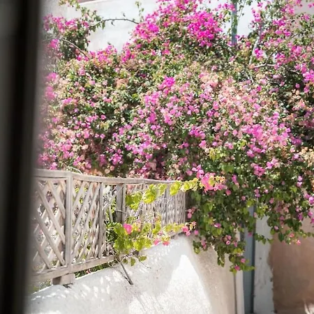 펜션 Akri Santorini With Heated Jacuzzi Emporio (Santorini)