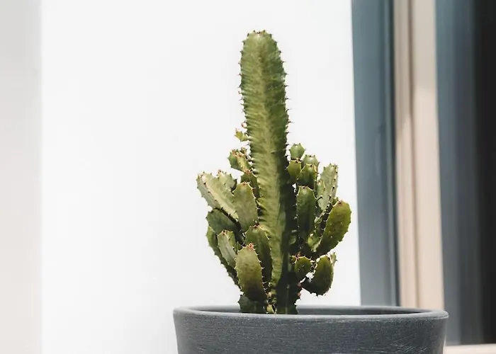 Feriehus Akri Santorini With Heated Jacuzzi *