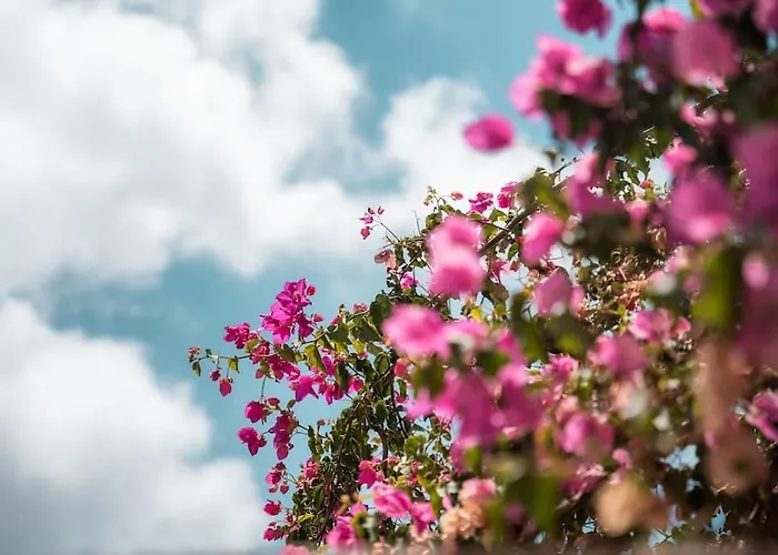 Dom wakacyjny Akri Santorini With Heated Jacuzzi